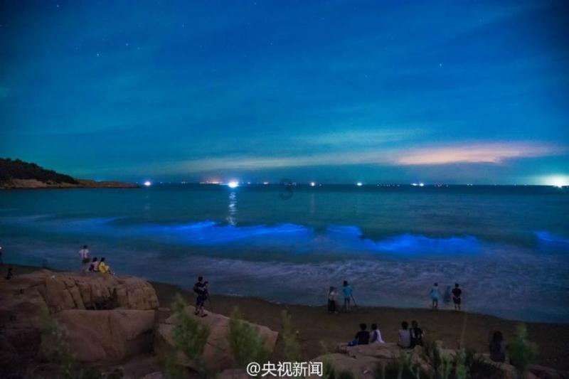 为鱼儿打通“回家路”:汉江汉中中心城区段翻板闸鱼道即将建成