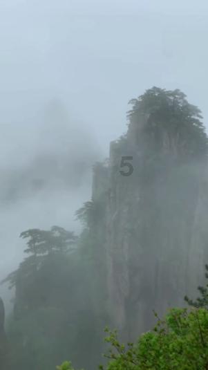 失忆的流浪者
