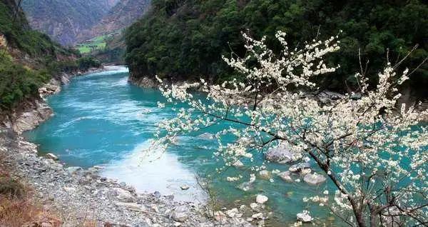 24春招字节跳动抖音集团笔试测评真题题库解析作答技巧分享