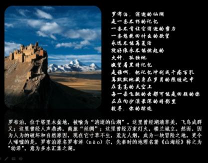 夏季热带海滩逃生