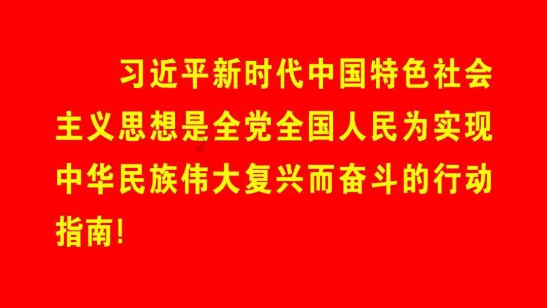 T恤的版型该怎么看？什么版型的T恤更显瘦？