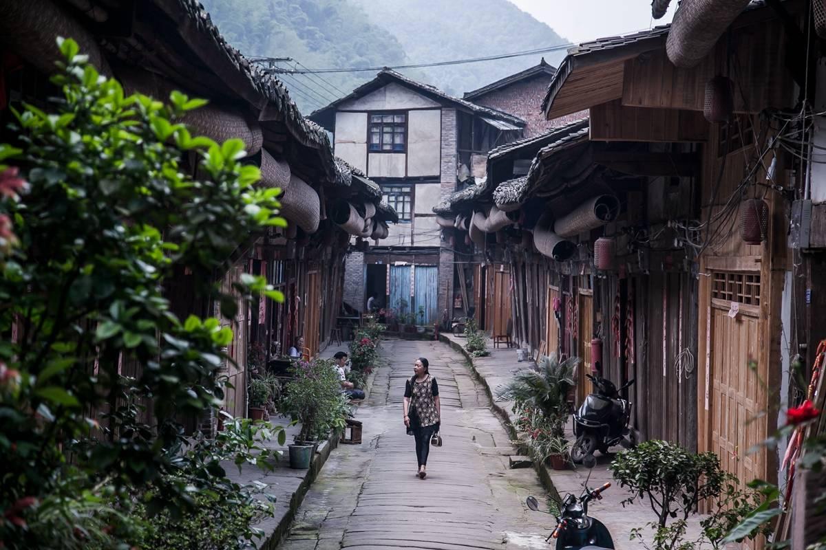 动物帮帮忙保卫家园
